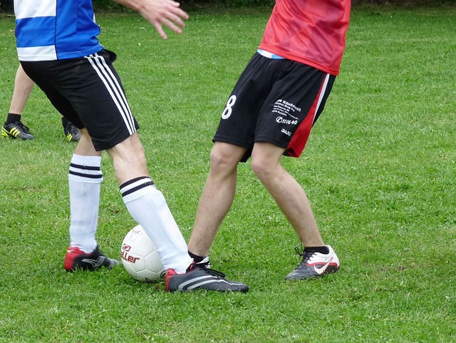 的到来会使 的到来会使