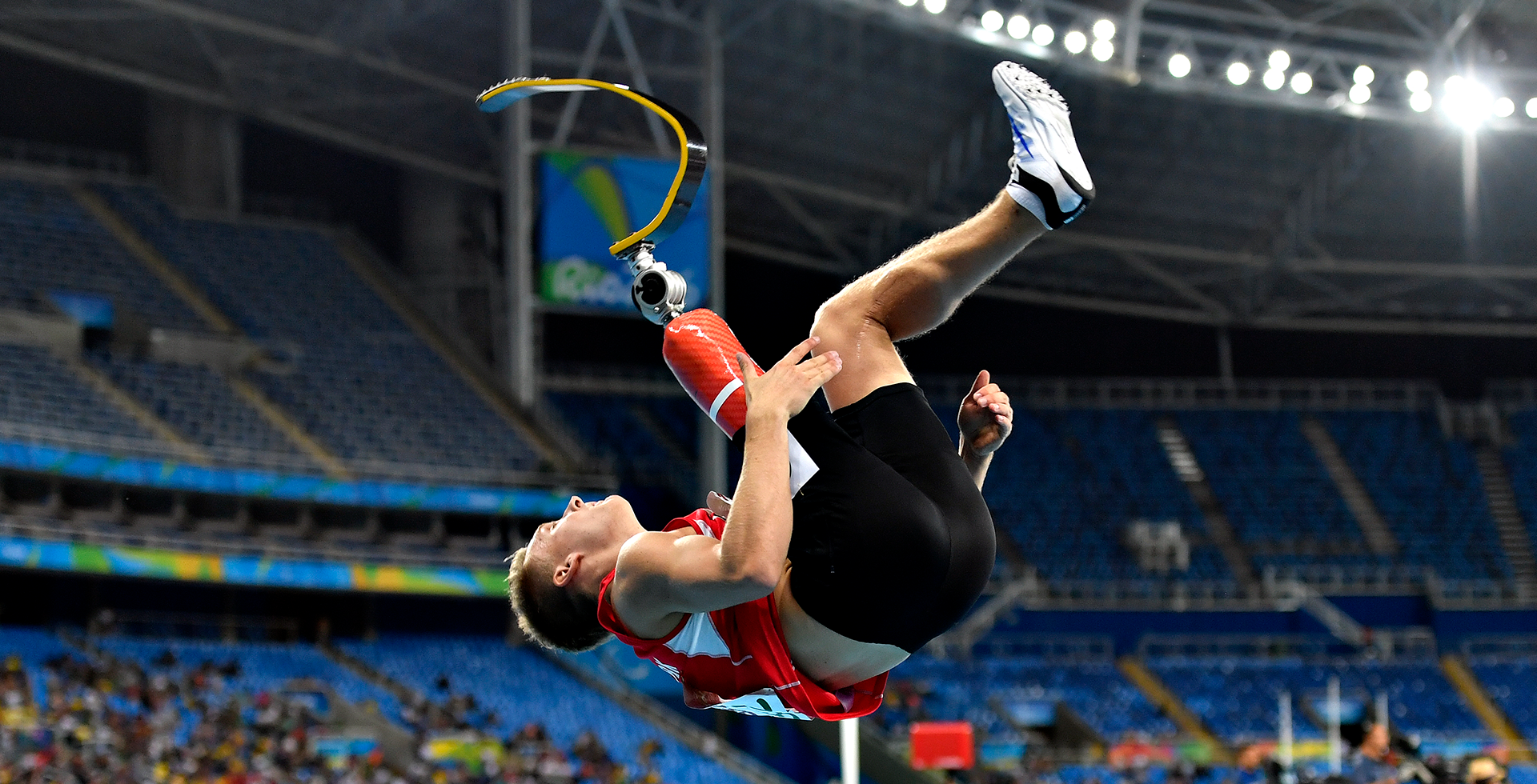 他们不仅为 他们不仅为